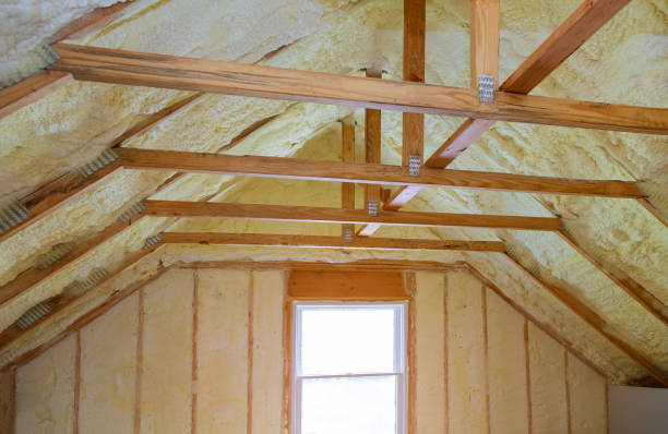 Best Specialized Insulation Services in Lake Los Angeles, CA