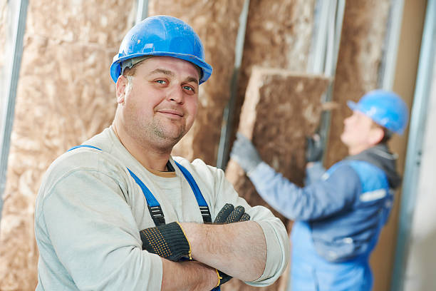 Best Blown-in Insulation in Lake Los Angeles, CA
