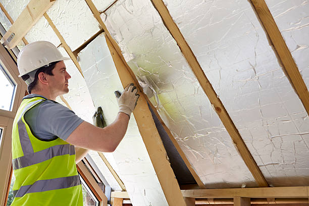 Best Geographic-Specific Insulation Services in Lake Los Angeles, CA