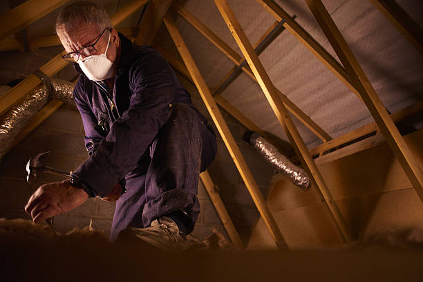 Best Insulation Maintenance and Repair in Lake Los Angeles, CA